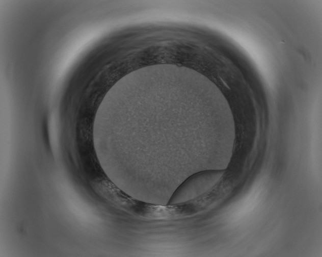 X0000111250239200907301333