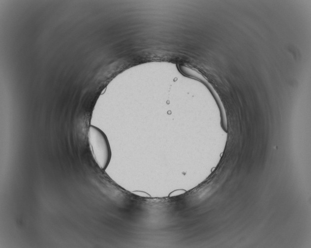 X0000111250240200907301333