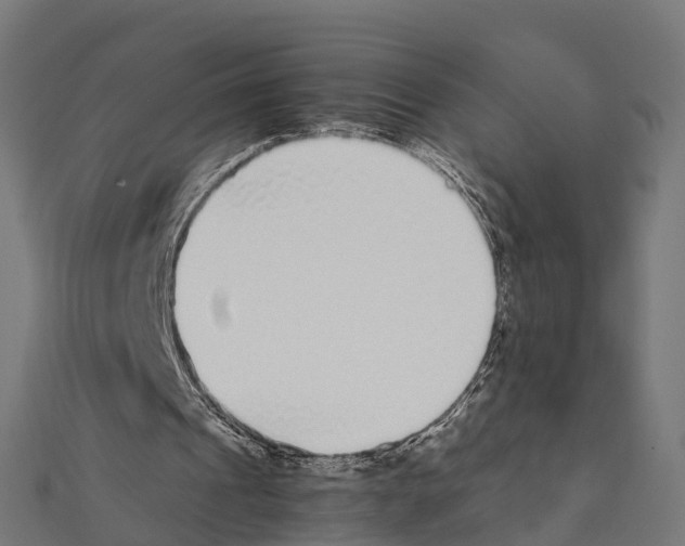 X0000111250241200907301332