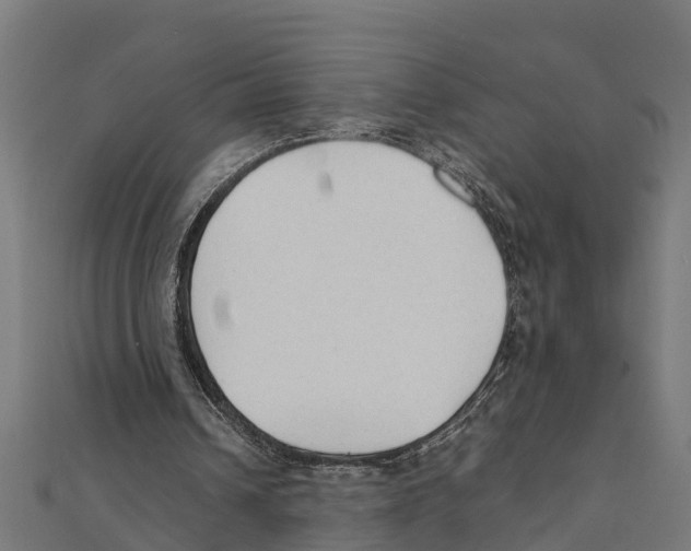 X0000111250242200907301332