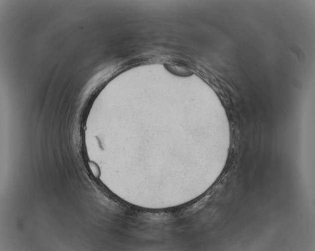 X0000111250245200907301333