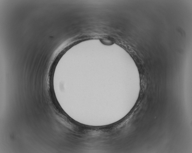 X0000111250246200907301333