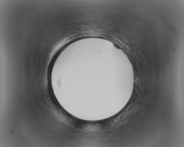 X0000111250248200907301333