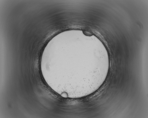 X0000111250249200907301333