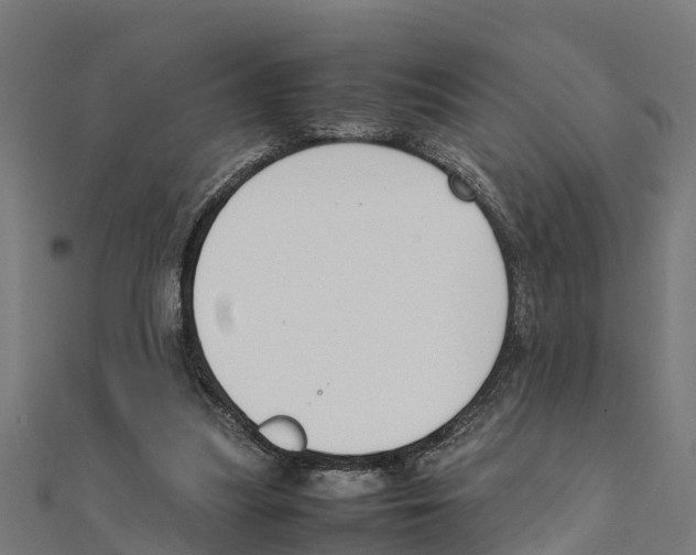 X0000111250251200907301333