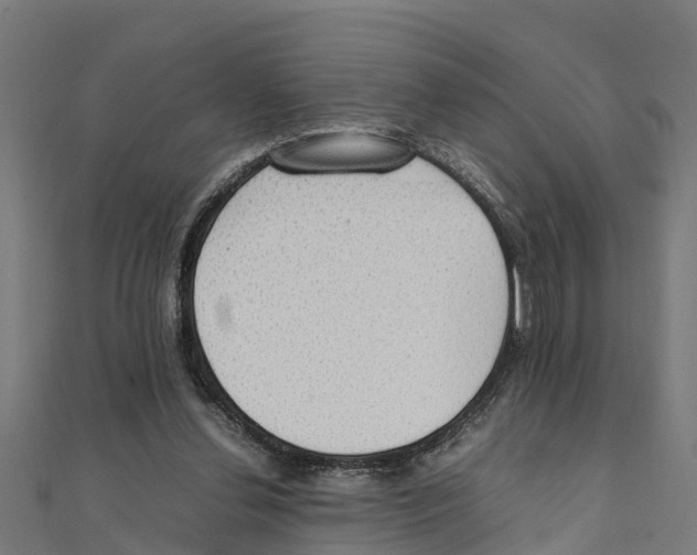 X0000111250252200907301333