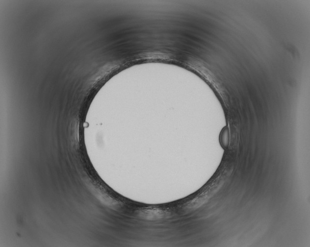 X0000111250253200907301333