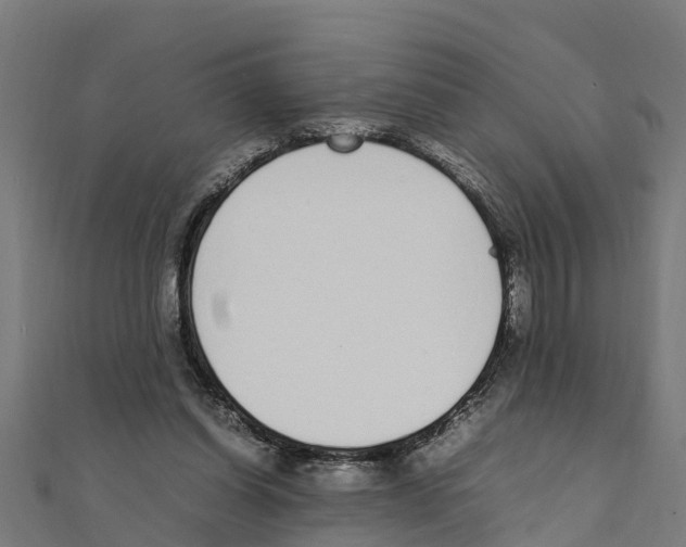 X0000111250254200907301333