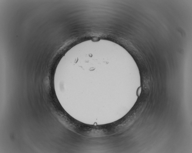 X0000111250256200907301333