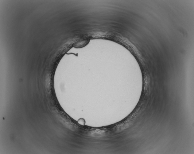 X0000111250257200907301333