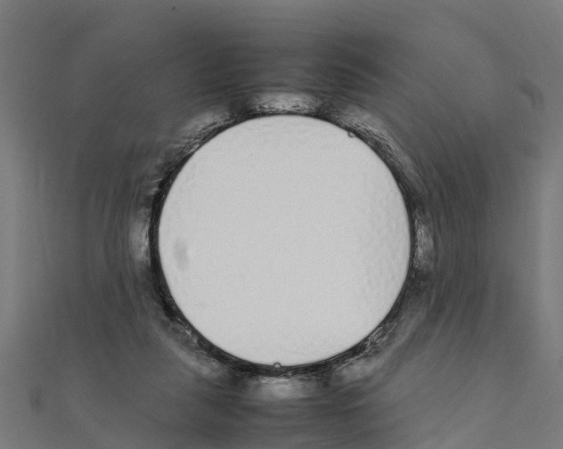 X0000111250259200907301333