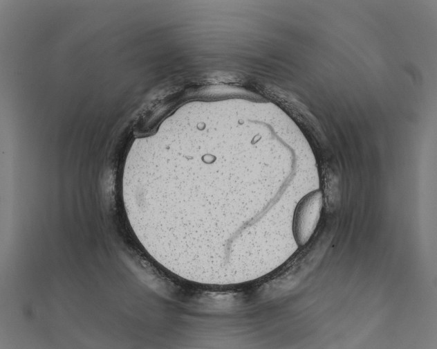 X0000111250260200907301333