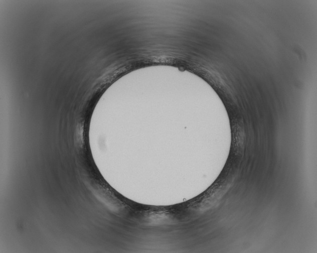 X0000111250262200907301333