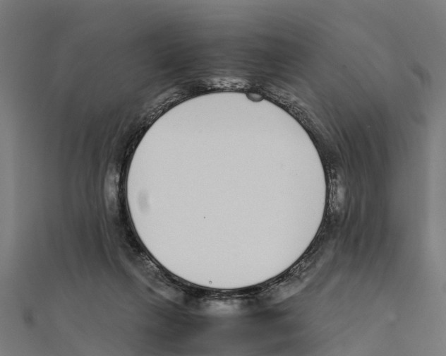 X0000111250263200907301333