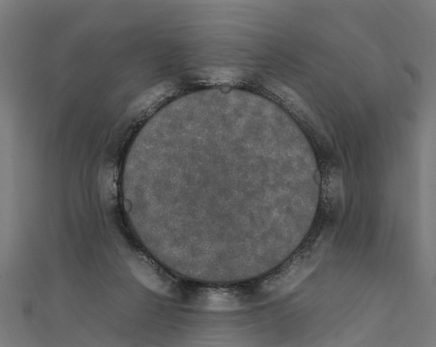 X0000111250264200907301333