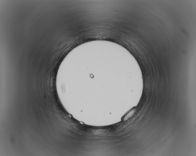 X0000111250268200907301333