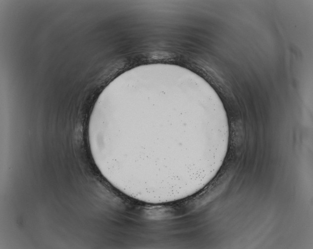 X0000111250269200907301333