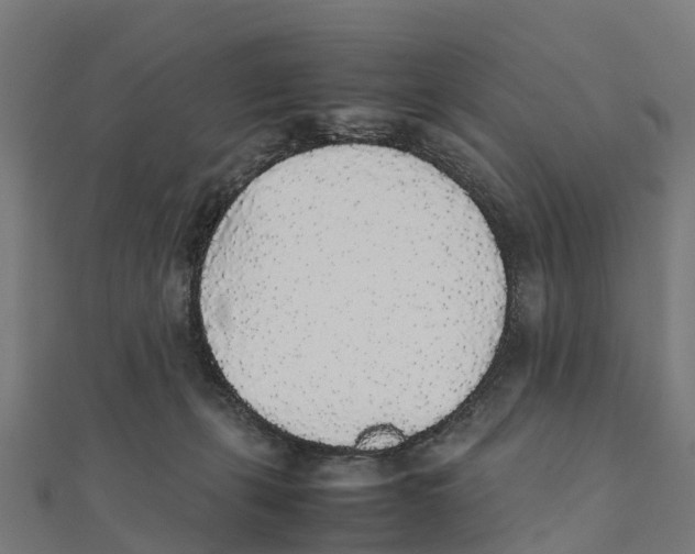 X0000111250271200907301333