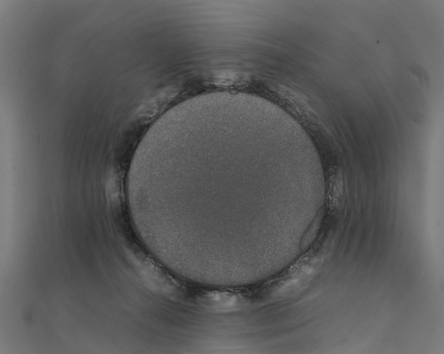 X0000111250272200907301333