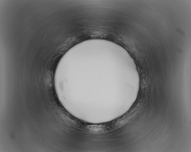 X0000111250273200907301333