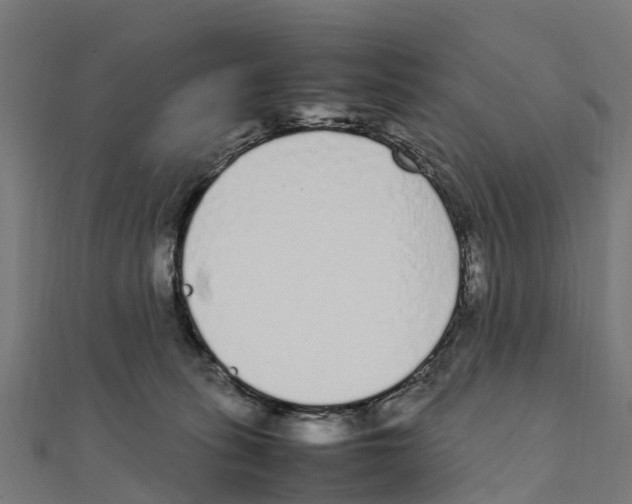 X0000111250275200907301333