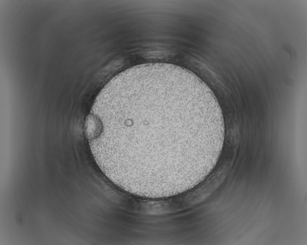 X0000111250277200907301333