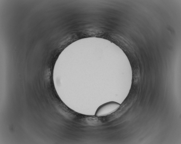 X0000111250279200907301333