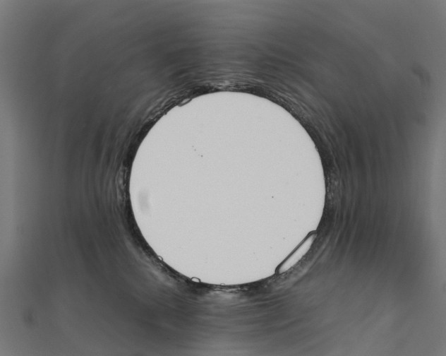 X0000111250280200907301333