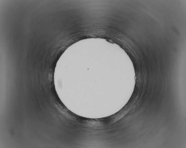 X0000111250284200907301333