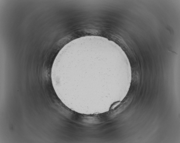 X0000111250285200907301333