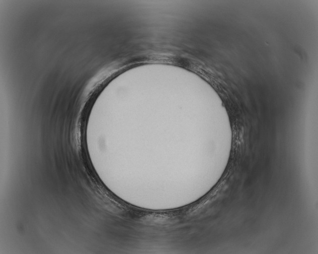 X0000111250294200907301332