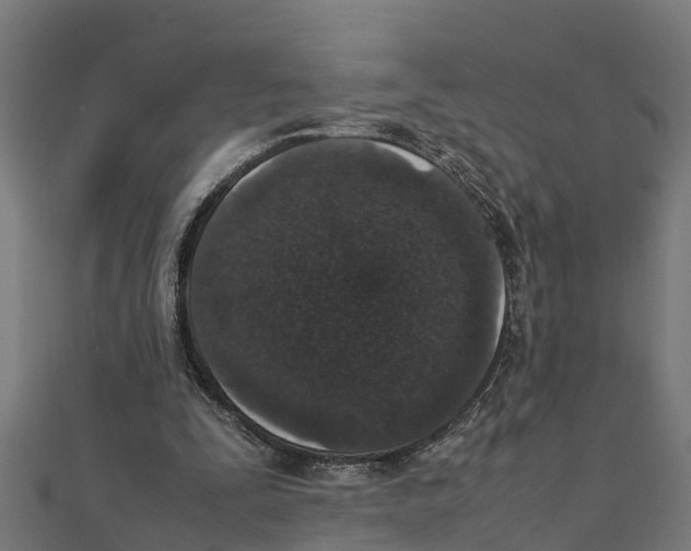 X0000111250295200907301332