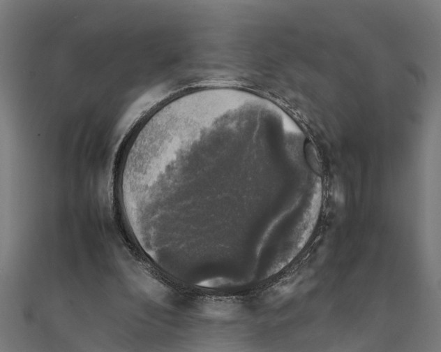 X0000111250296200907301332