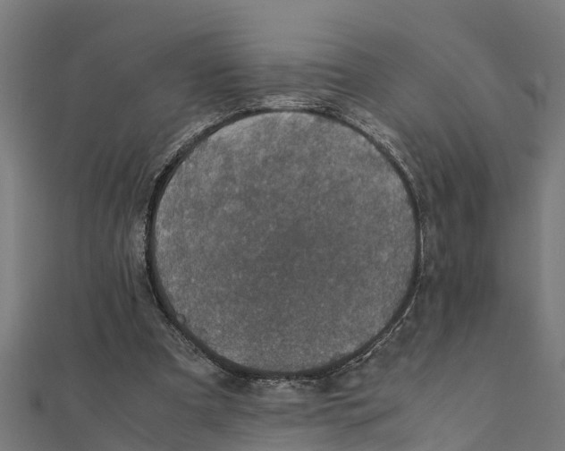 X0000111250297200907301332