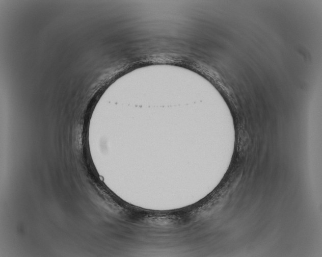 X0000111250299200907301332