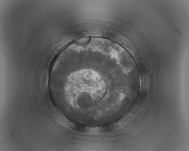 X0000111250301200907301332