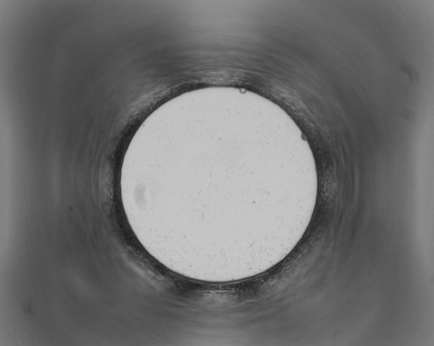 X0000111250303200907301332