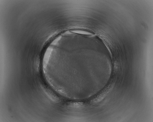 X0000111250304200907301332