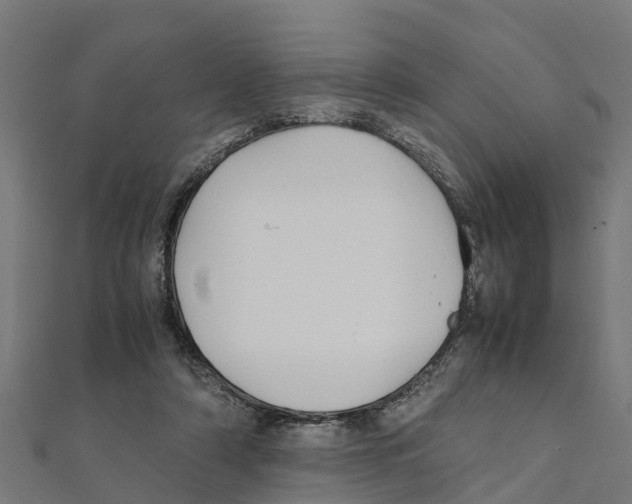 X0000111250306200907301332