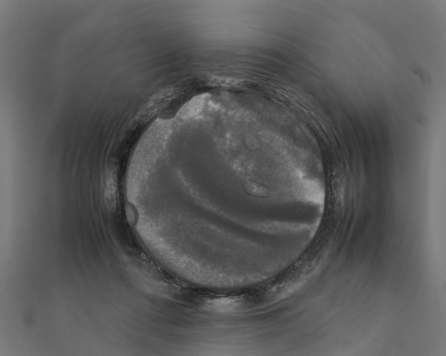 X0000111250312200907301332