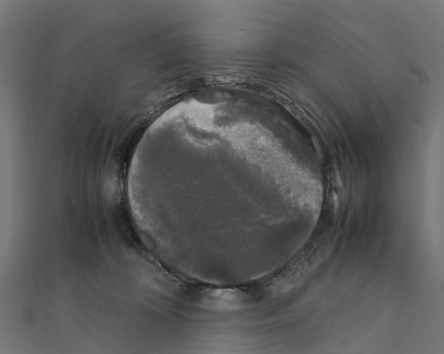 X0000111250324200907301332