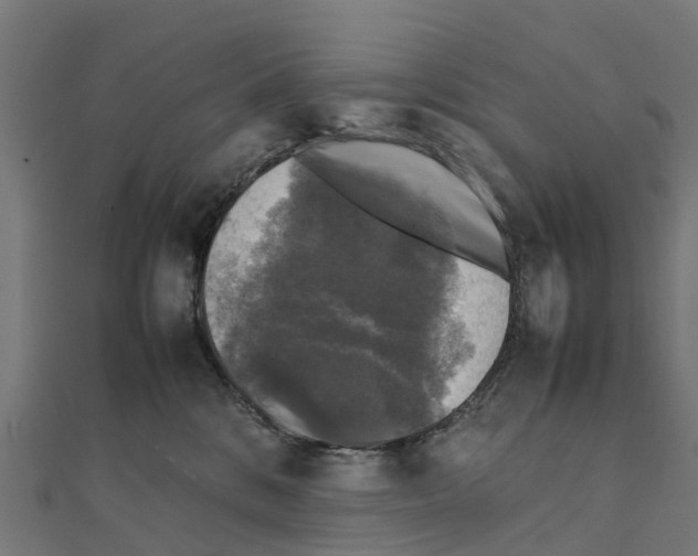 X0000111250328200907301332