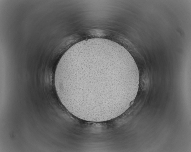 X0000111250330200907301332