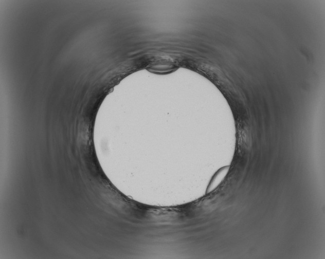 X0000111250331200907301332