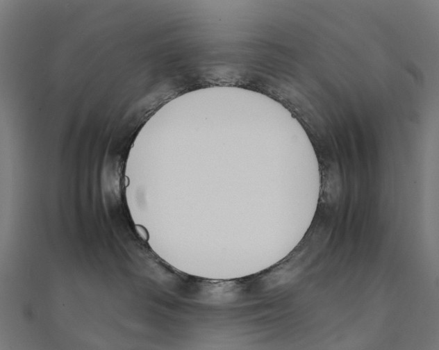 X0000111250334200907301332