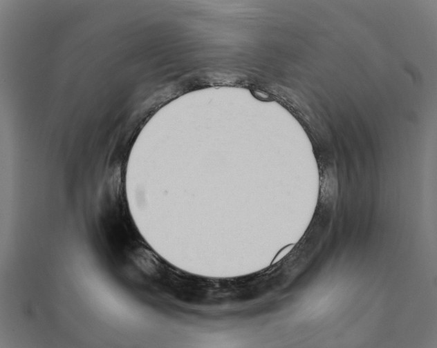 X0000111250335200907301332