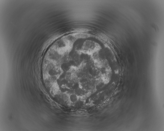 X0000111250337200907301331