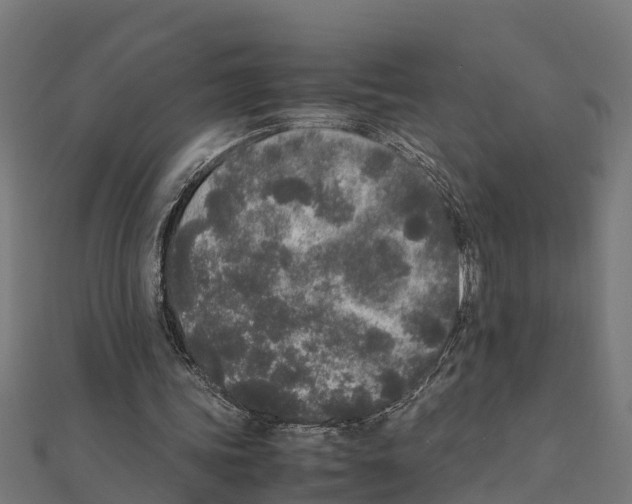 X0000111250339200907301331