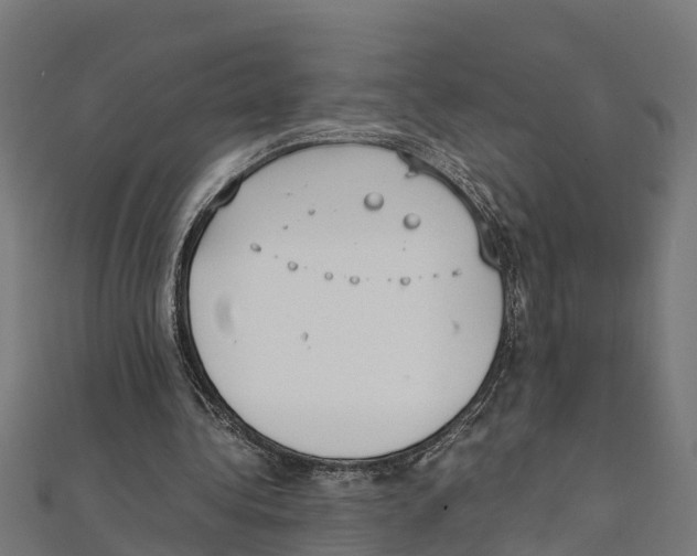 X0000111250340200907301331