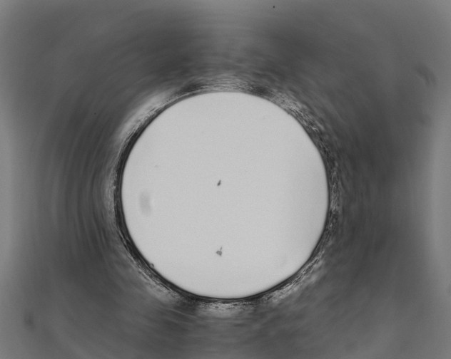 X0000111250341200907301331